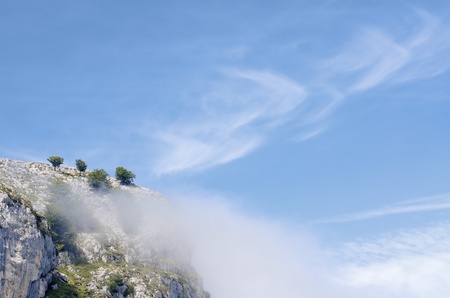 trees near lakes of Covadonga, National Park Picos de Europa, Asturias, Spainの写真素材