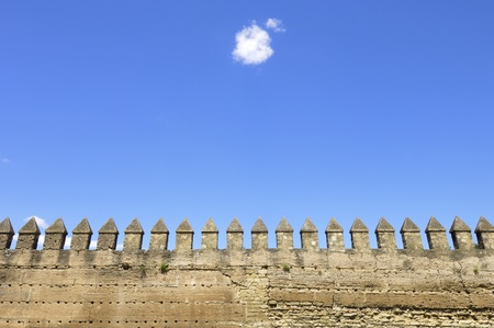 forefront of the ancient city walls of Cordoba, Andalucia, Spainの写真素材
