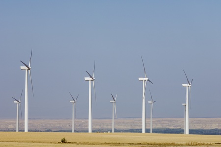 aligned windmills for renowable electric production with clear sky