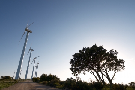 windmills lined up at dusk, El Buste, Saragosa, Aragon, Spain.の写真素材