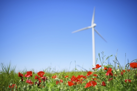 windmill for renewable energy production and field of poppiesの写真素材