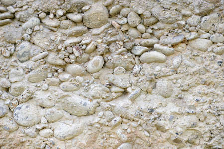 Concrete background close up at high resolution