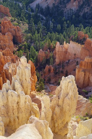 Needles in Bryce Canyon National Park, Utah, Usa