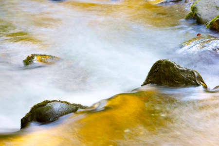 silky stream in a forest. Valley of Aspe, Pyrenees, Franceの写真素材