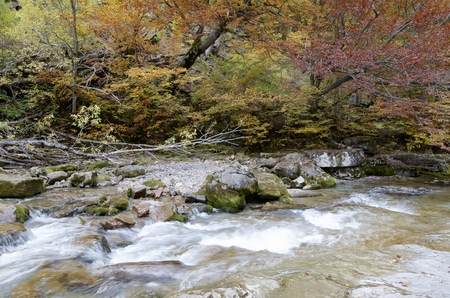Arazas river in Ordesa National Park, Pyrenees, Huesca, Aragon, Spainの写真素材
