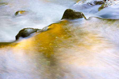 silky stream in a forest. Valley of Aspe, Pyrenees, Franceの写真素材