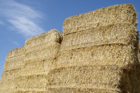 Straw bales stacked with blue sky