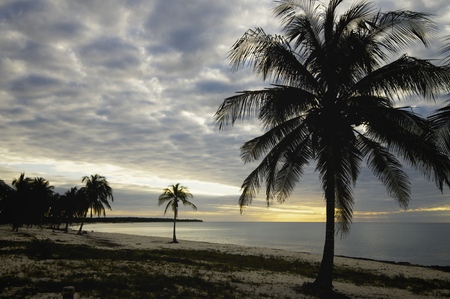 sunset at the beach tropical Maria la Gorda, Guanahacabibes Peninsula in Cubaの写真素材