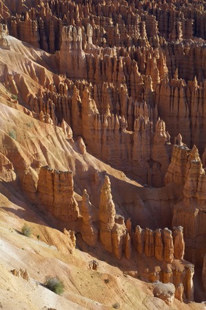 Needles in Bryce Canyon National Park, Utah, Usa