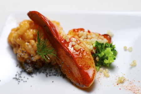 Lobster with rice in a white plate.の写真素材