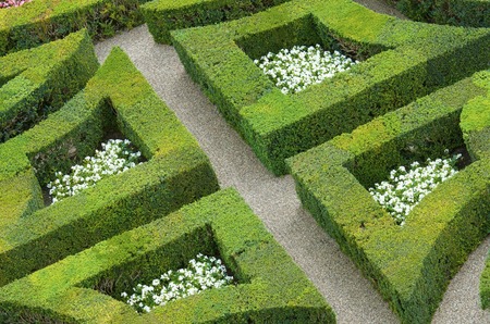 foreground of the garden of the castle of Villandry, Loire Valley, Franceのeditorial素材