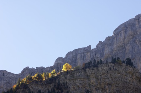 autumn forest and rocky mountain in Ordesa Valley, Pyrenees, Huesca, Aragon, Spain