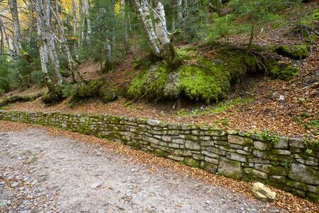Hiking trail in Ordesa National Park, Pyrenees, Huesca, Aragon, Spain.
