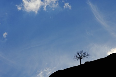 Tree profile in Rodeno, Albarracin, Teruel, Aragon, Spain.の写真素材