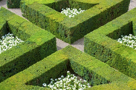 foreground of the garden of the castle of Villandry, Loire Valley, Franceのeditorial素材