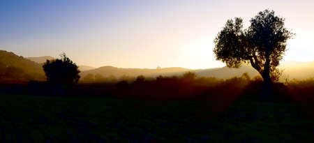 rural landscape in the fog at sunset, Zaragoza Province, Aragon, Spain.の写真素材