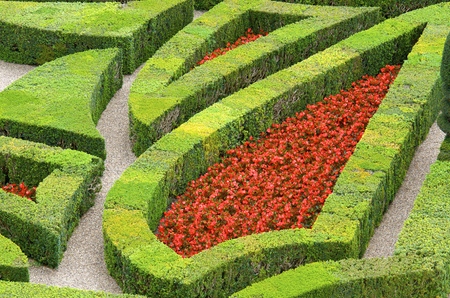 foreground of the garden of the castle of Villandry, Loire Valley, Franceの写真素材