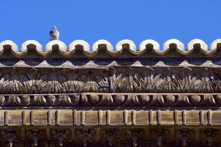 Pigeon hovering in the eaves of the Lonja Palace, Zaragoza, Aragon, Spain.