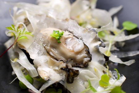 Oyster on the half shell with fennel salad and seaweed.の写真素材