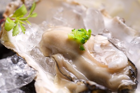 Oyster on the half shell with fennel salad and seaweed.の写真素材