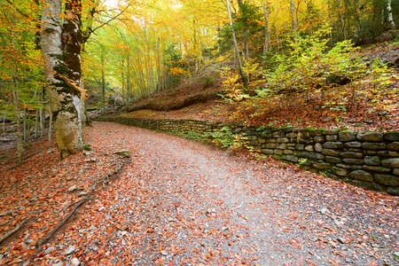 Hiking trail in Ordesa National Park, Pyrenees, Huesca, Aragon, Spain.の写真素材