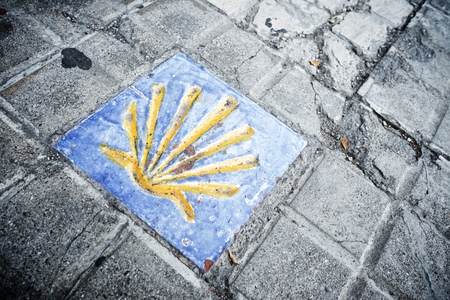 Santiago shell close up in Jaca, Huesca, Aragon, Spain.の写真素材