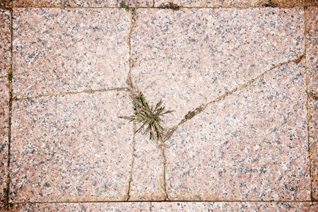 Floor of a street with stone tiles.