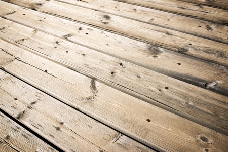 Wood background close up at high resolution