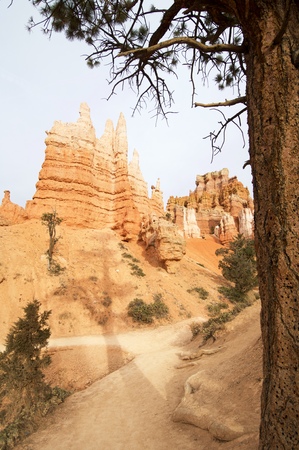 Needles in Bryce Canyon National Park, Utah, Usa.の写真素材