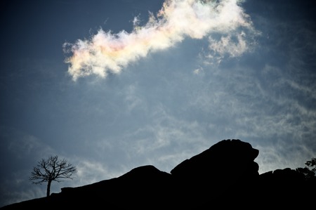 Tree profile in Rodeno, Albarracin, Teruel, Aragon, Spain.の写真素材