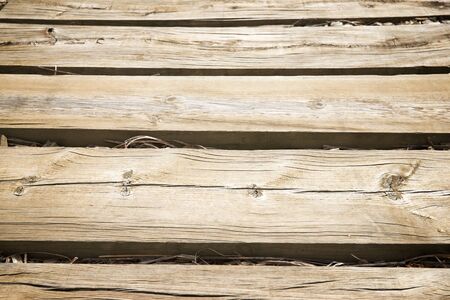 Wood background close up at high resolution