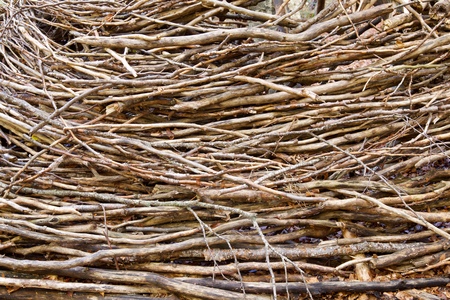 Firewood in Tena Valley, Pyrenees, Huesca Province, Aragon, Spain.の写真素材