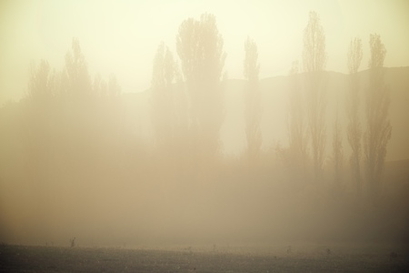 Sunrise with fog in the Pyrenees, Huesca Province, Aragon, Spain.の写真素材