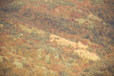 Autumn in Vio Valley, Pyrenees, Huesca, Aragon, Spain.