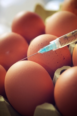 Hormone manipulation with syringe of eggs.の写真素材