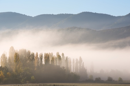 Sunrise in a forest in Pyrenees, Spain.