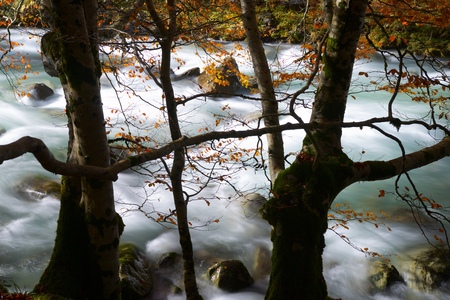 Autumn in Ordesa National Park, Pyrenees, Huesca, Aragon, Spain.の写真素材