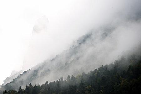 Autumn in Ordesa National Park, Pyrenees, Huesca, Aragon, Spain.