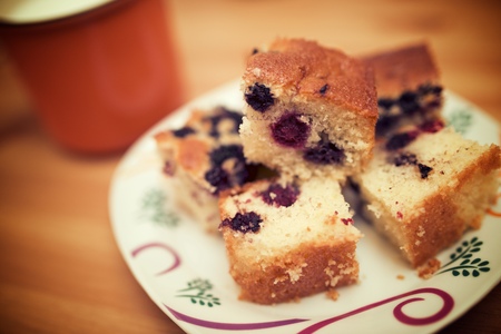 Sponge cake with blackberries on a white plate.