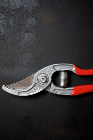 Secateurs on a black table.の写真素材