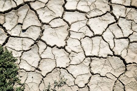Background in high resolution created with drought land.
