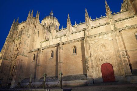 Exterior view of Salamanca Cathedral, Castilla Leon in Spain.のeditorial素材