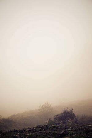 Fog in Lescun Valley, Pyrenees in France.