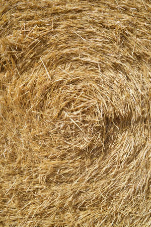 Straw bale close up in Zaragoza Province, Aragon in Spain.
