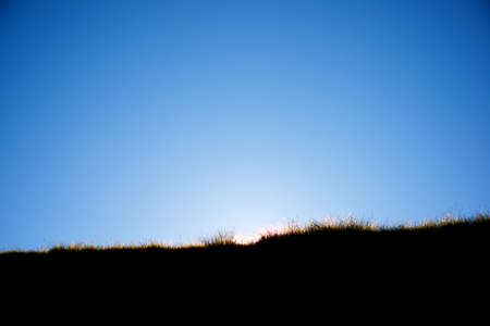 Grass in a backlit meadow in the Pyrenees, Huesca province, Aragon in Spain.の写真素材