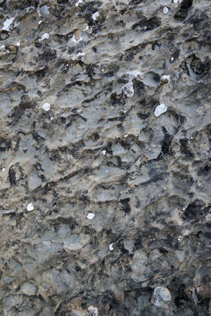 Stone background close up at high resolution.の写真素材