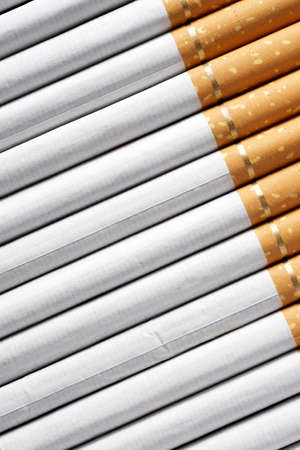 Close-up of a group of cigarettes lined up.