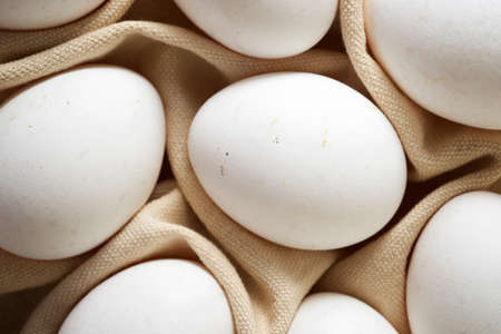 Close-up of eggs on a dishcloth.