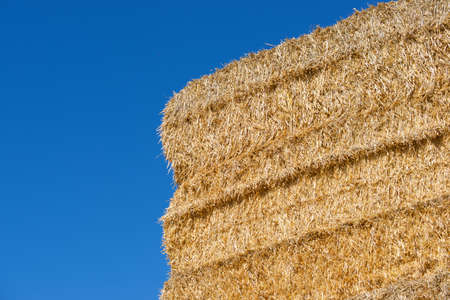 Straw bales stacked and blue skyの写真素材