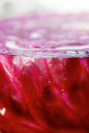 Close-up of a red cabbage cut.の写真素材